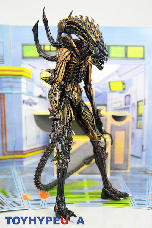 Neca Aliens - Action Figure Apone 18 Cm - Altamente Snodabile Con Accessori - Serie 13