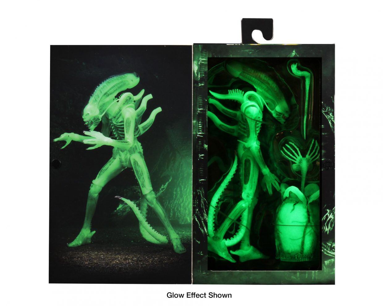 thenecastore ebay