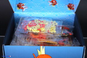 MEGA Pokémon Magikarp Building Set – Mattel Creations