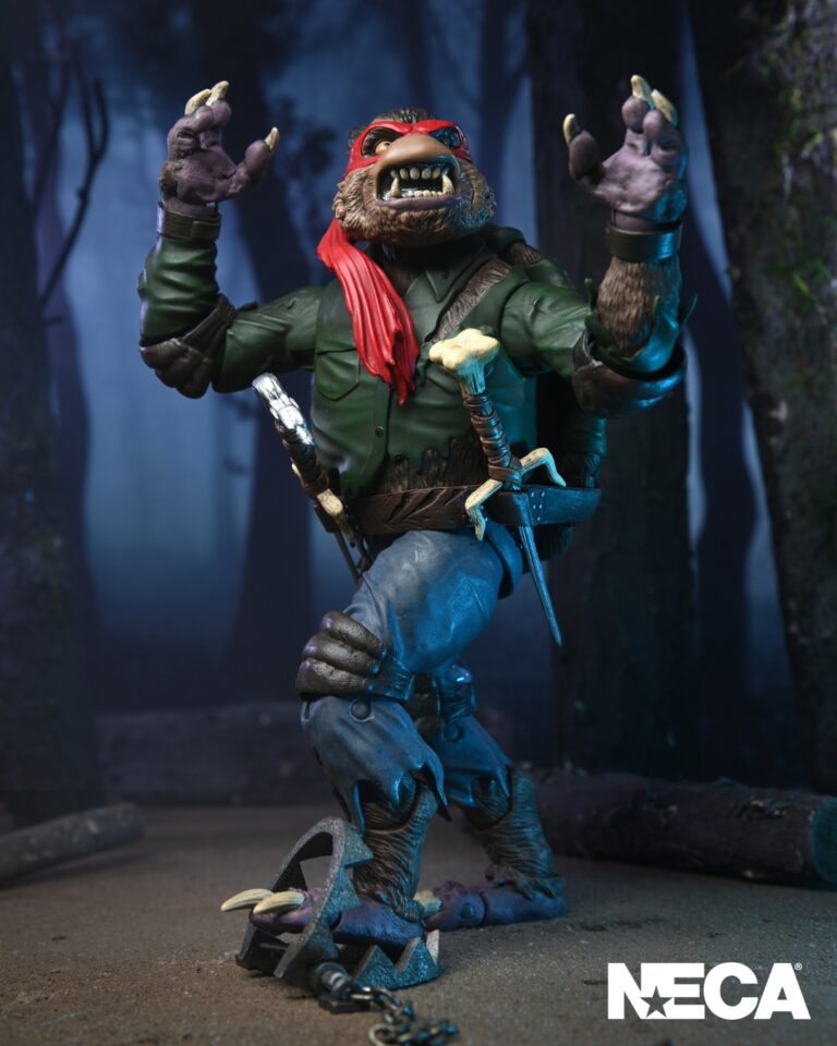 NECA - TMNT Teenager Mutant Ninja Turtles (Cartoon) Action Figure 1:4