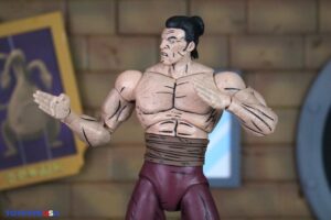 NECA Toys Teenage Mutant Ninja Turtles Worms of Madness Shredder (Mirage Comics) Figures 