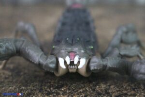 Hasbro G.I. Joe Classified Series #180 Cobra Desert Scorpion & SKRP10N-25 Figure Set