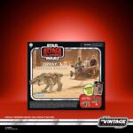 Hasbro Star Wars The Vintage Collection Orray & Geonosian Picador Set