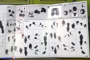 Blokees Marvel Rivals Venom Champion Class CC07 Model Kit Figure