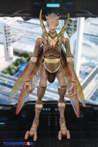 Hasbro Star Wars The Black Series Geonosian Warrior Figure