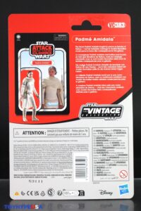 Hasbro Star Wars The Vintage Collection Attack of the Clones Padme Amidala & Shaak Ti Figures