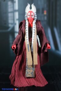 Hasbro Star Wars The Vintage Collection Attack of the Clones Padme Amidala & Shaak Ti Figures 